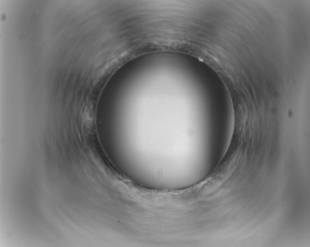 X0000088720040200706141624