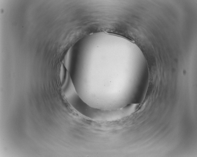 X0000088720041200706141624