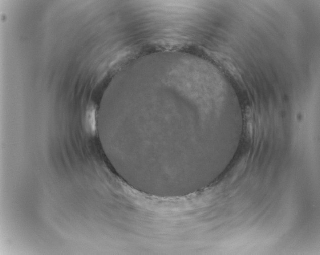 X0000088720042200706141624