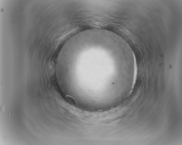 X0000088720043200706141624