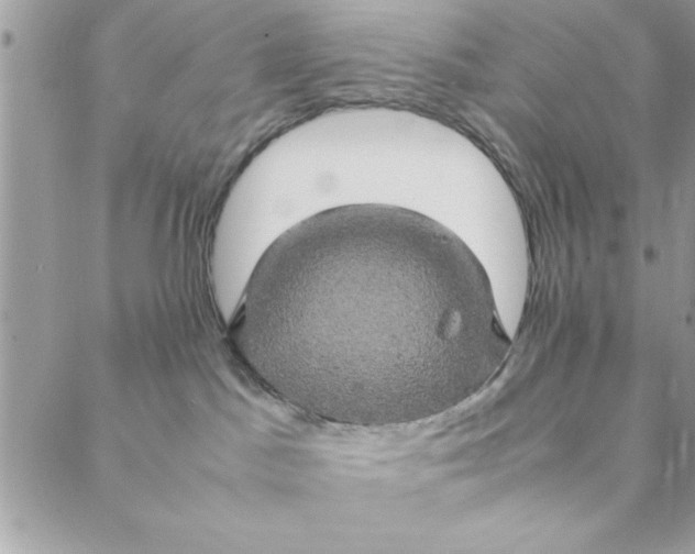 X0000088720045200706141624