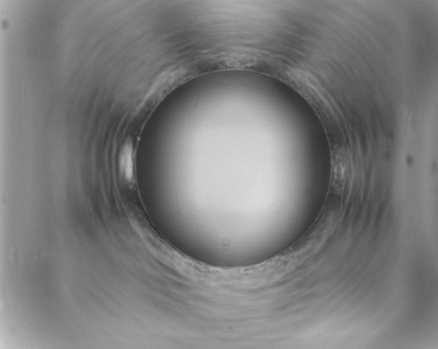 X0000088720046200706141624