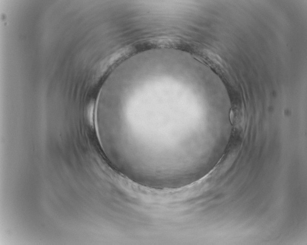 X0000088720047200706141624