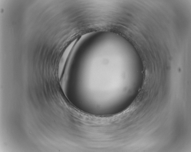 X0000088720048200706141624