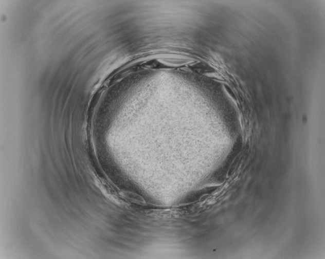 X0000088720050200706141623