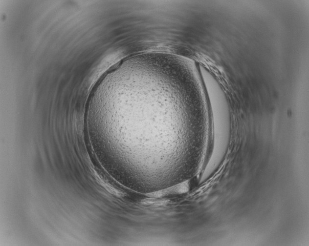 X0000088720051200706141623