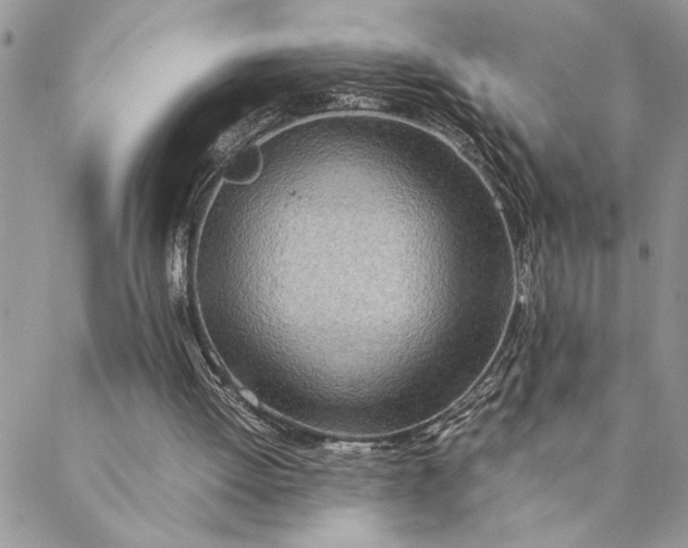 X0000088720052200706141623