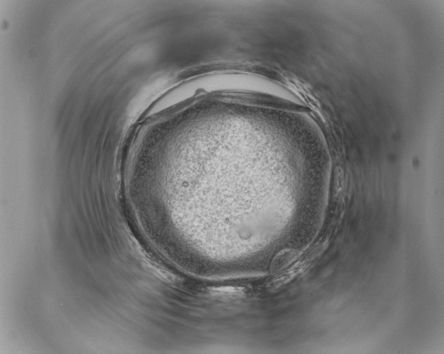 X0000088720053200706141623