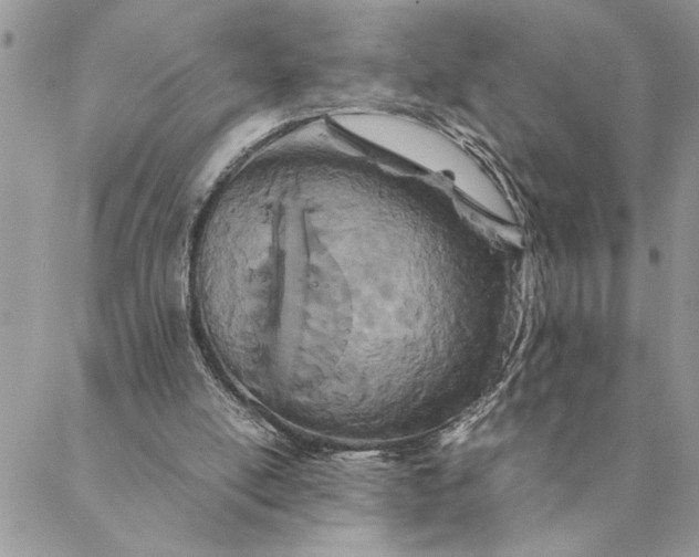 X0000088720054200706141623