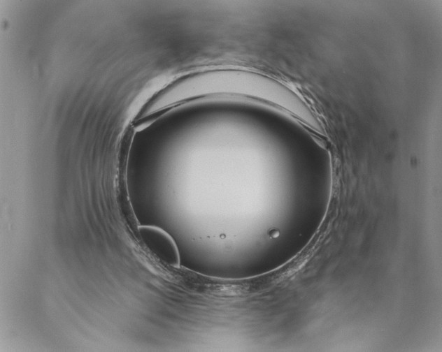 X0000088720056200706141623