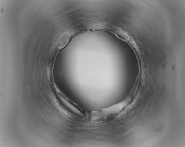 X0000088720057200706141623