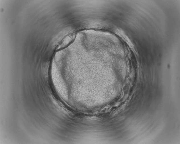 X0000088720058200706141623