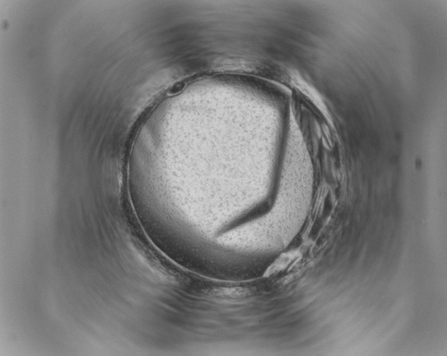 X0000088720059200706141623