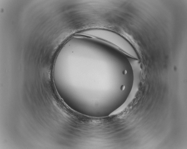 X0000088720060200706141623