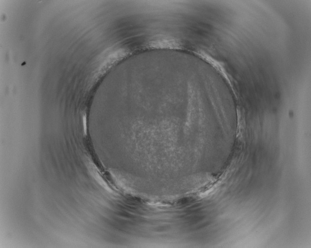 X0000088720061200706141623