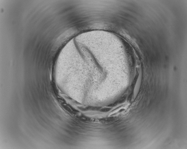 X0000088720062200706141623