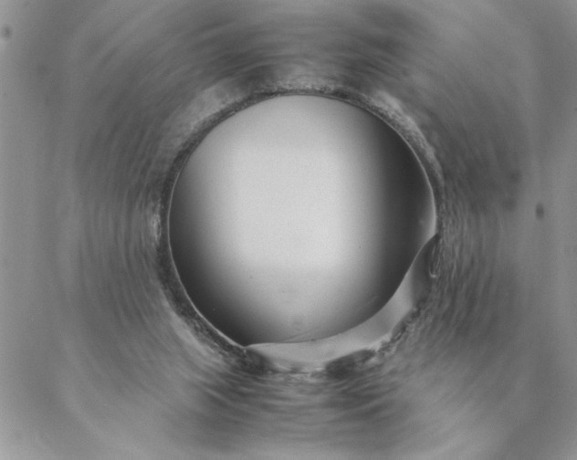 X0000088720063200706141623