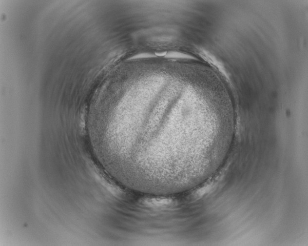 X0000088720065200706141623