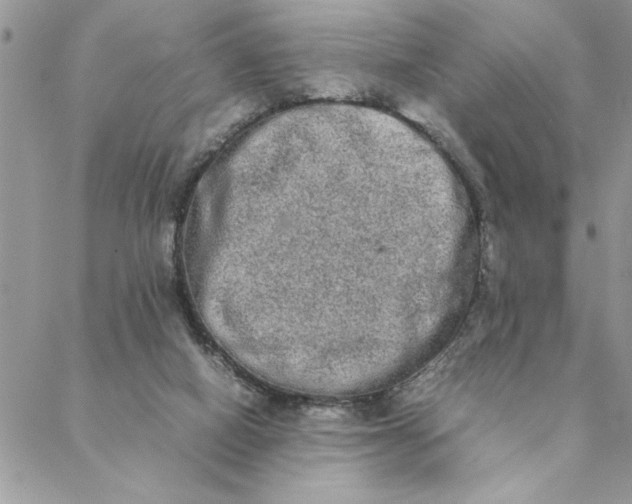 X0000088720066200706141623