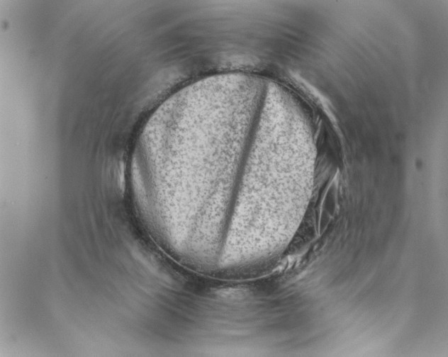 X0000088720067200706141623