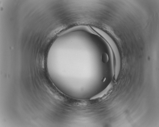 X0000088720068200706141623