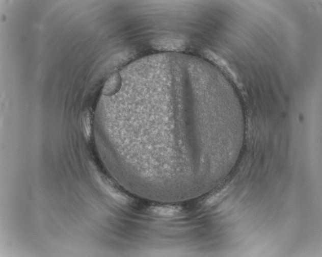 X0000088720069200706141623