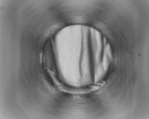 X0000088720070200706141623