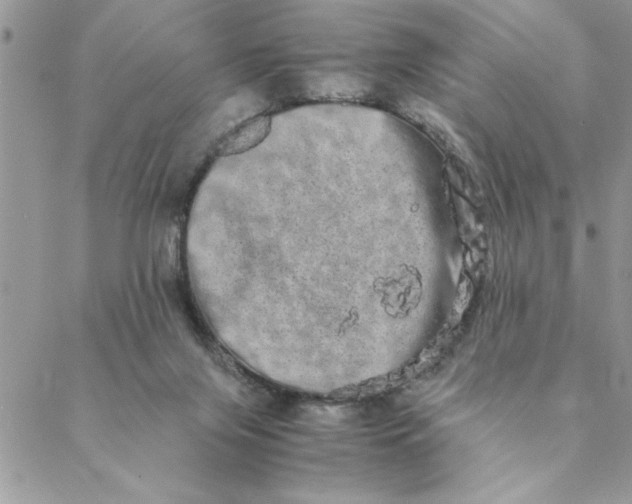 X0000088720071200706141623