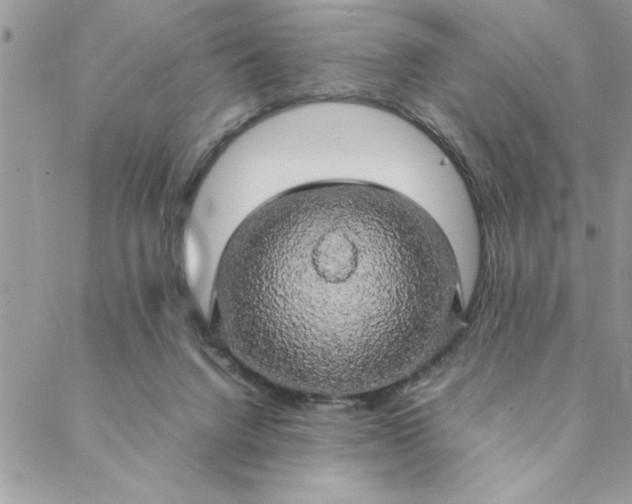 X0000088720072200706141623