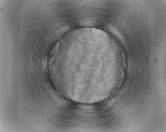 X0000088720073200706141623