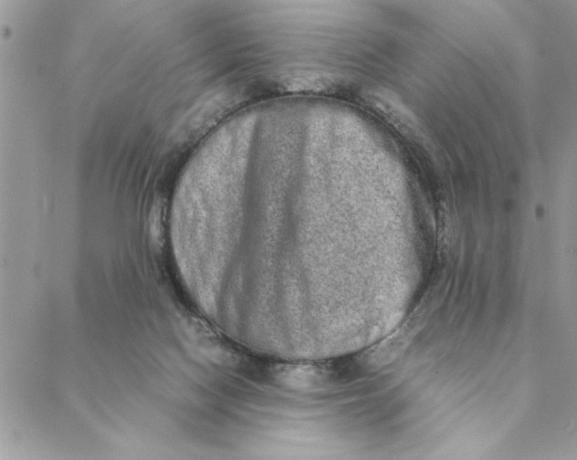 X0000088720074200706141623