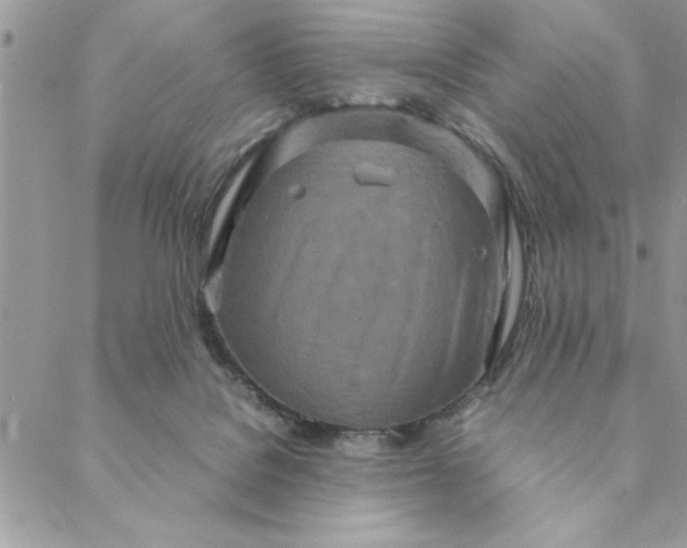 X0000088720076200706141624