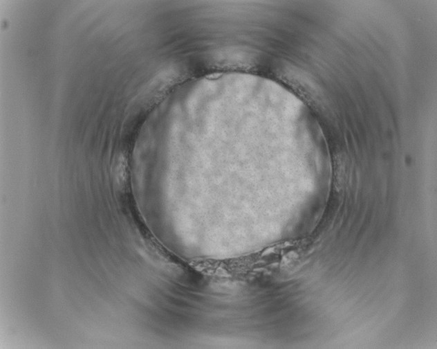 X0000088720077200706141624