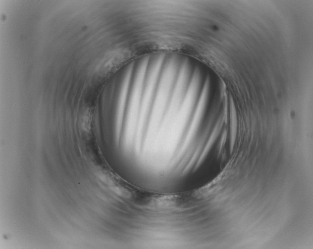 X0000088720078200706141624