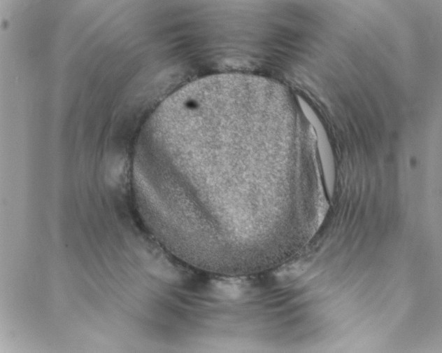 X0000088720079200706141624