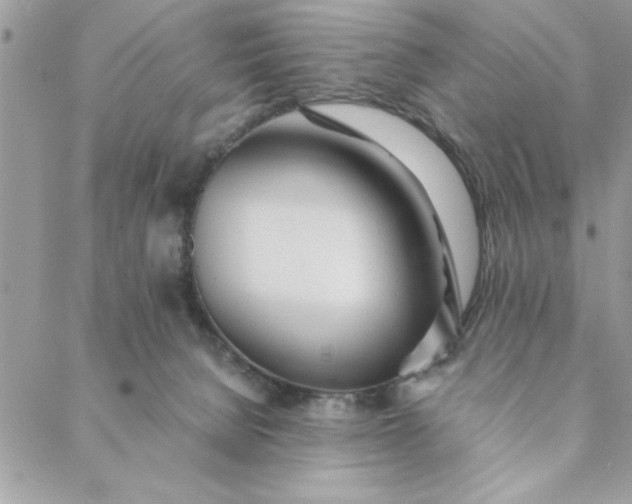 X0000088720080200706141624