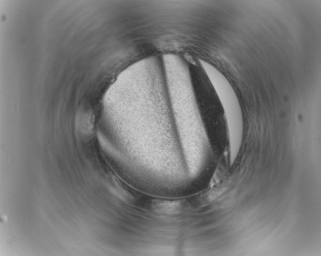 X0000088720081200706141624