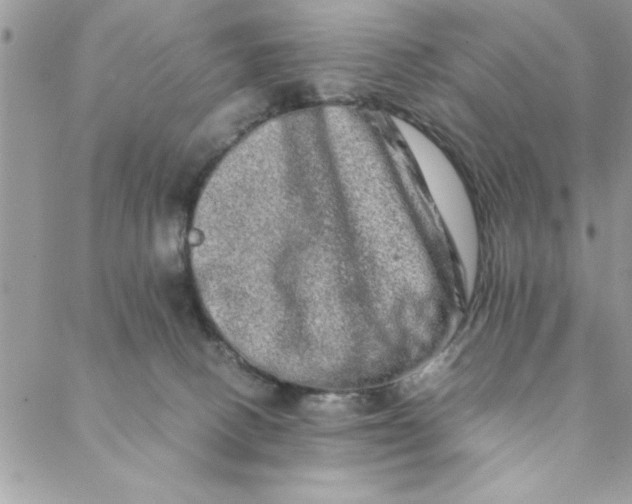 X0000088720082200706141624