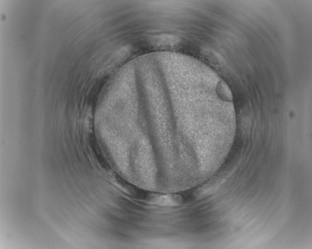 X0000088720083200706141624