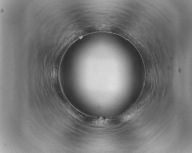 X0000088720084200706141624