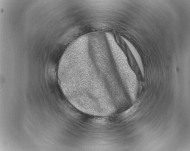 X0000088720086200706141624