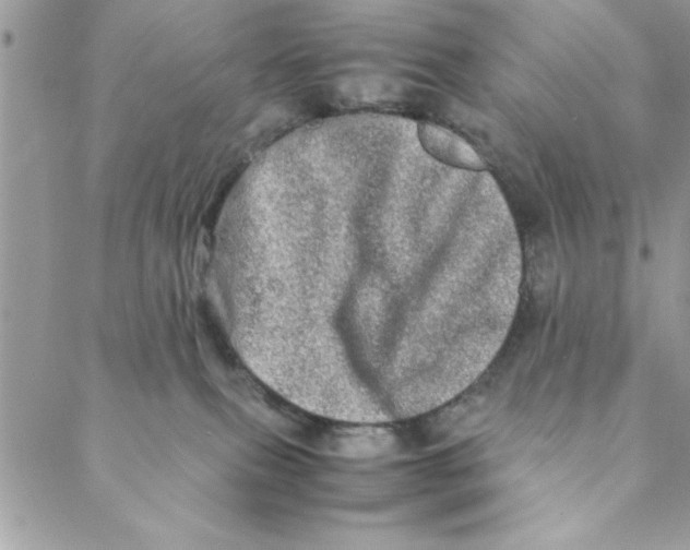 X0000088720087200706141624