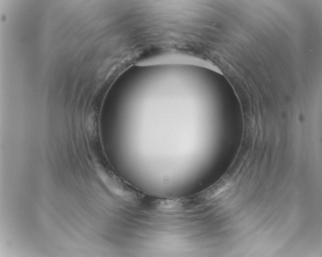 X0000088720088200706141624