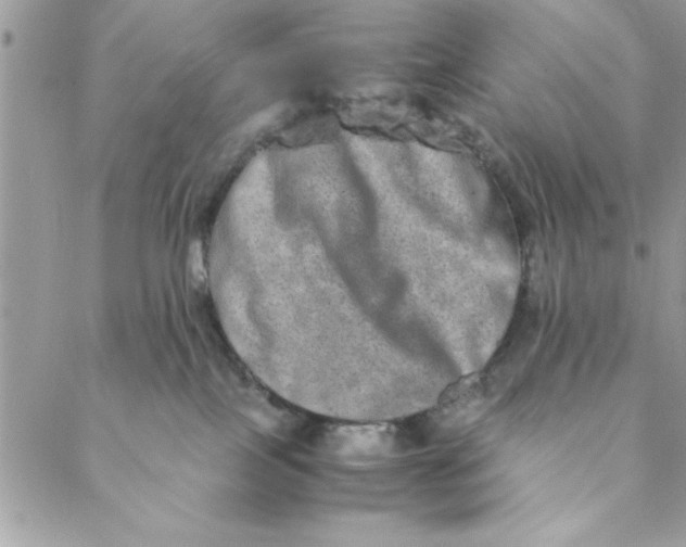 X0000088720089200706141624