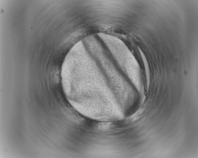 X0000088720090200706141624