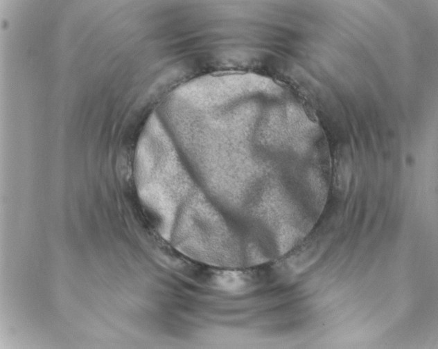 X0000088720091200706141624