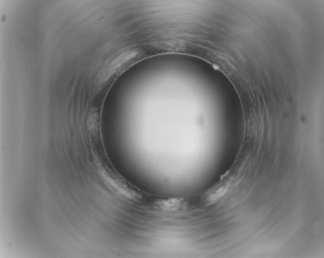 X0000088720092200706141624