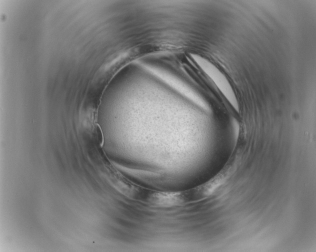 X0000088720093200706141624