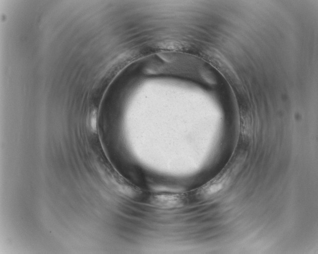 X0000088720095200706141624