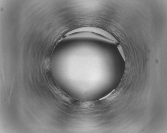 X0000088720096200706141624